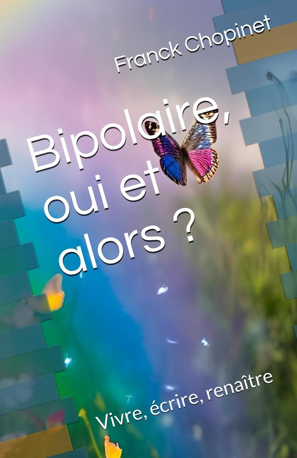 Livre sur la bipolarité et maladie mentale Chansons paroles